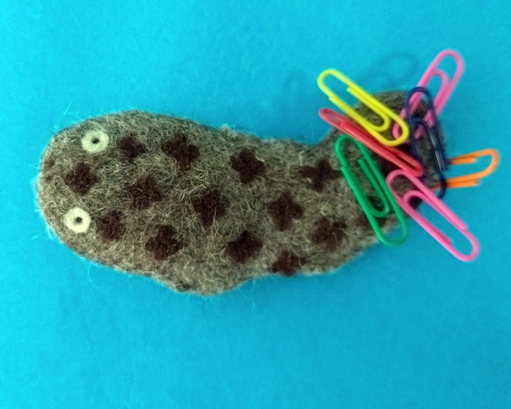 【羊毛フェルト】オオサンショウウオ君あくび中 クリップホルダー | 2枚目